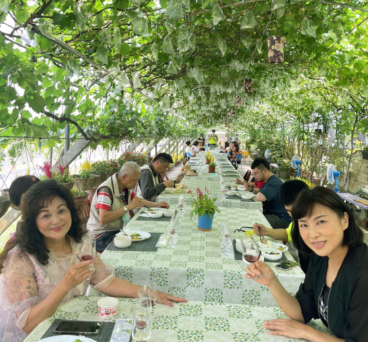 【品酒·葡萄宴】採果樂