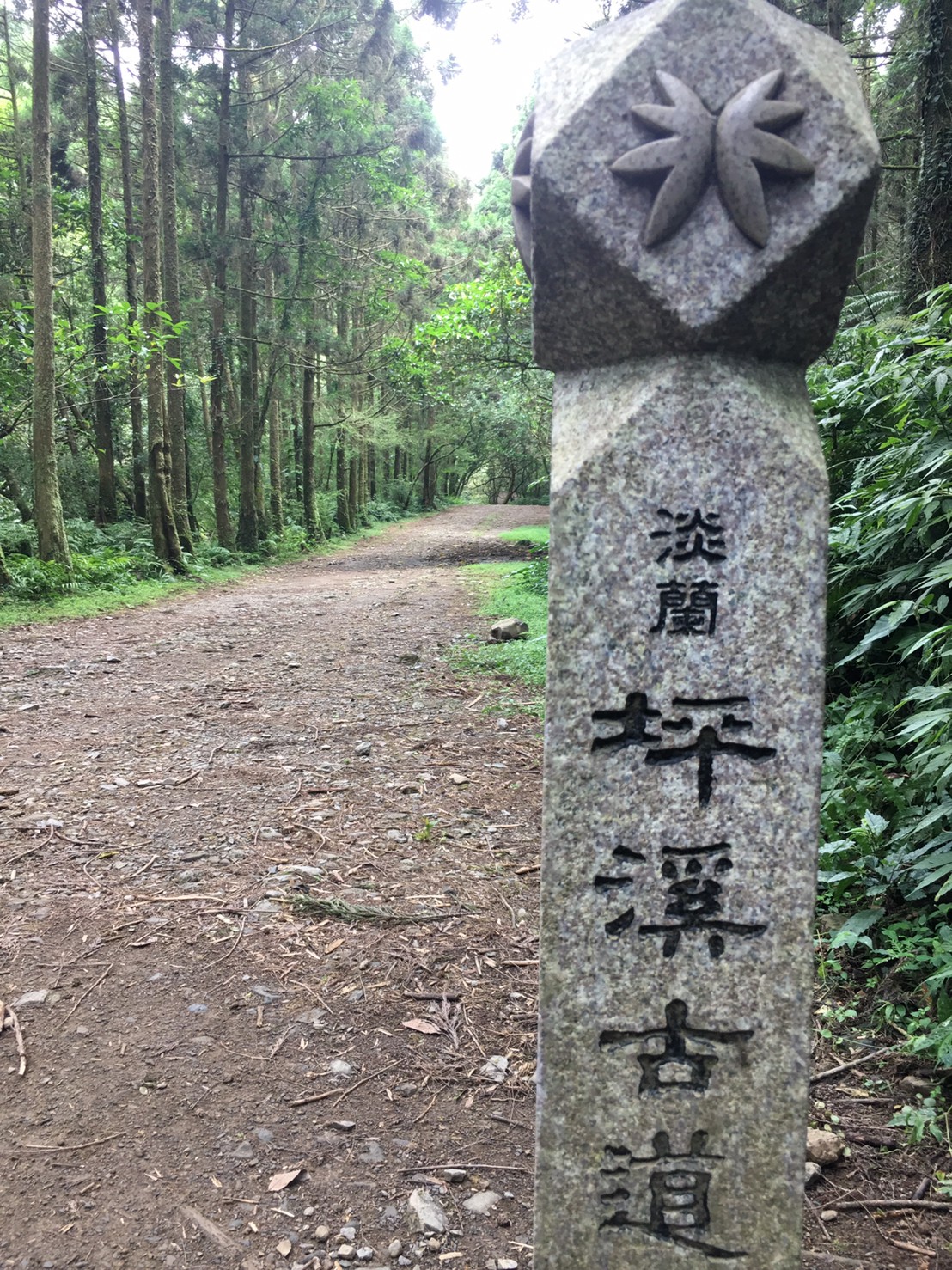 綠生活旅行社有限公司