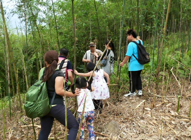 ★《季節限定，僅此一梯》跟著【理事長】遊部落趣～【茂安＋樂水】雙部落一次玩個夠，內容豐富好玩的「桂竹筍」親採食農體驗您豈能錯過！