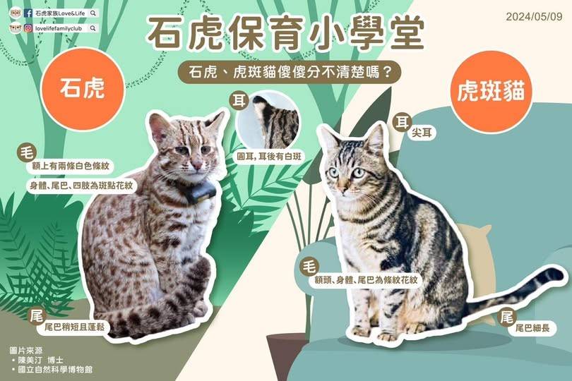 客委會2024客庄《國內組-佳作獎》～【石虎的故鄉～小鎮好客來相『芋』】
