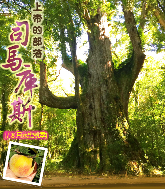 ★《此生必看～最夯部落》拜訪上帝的部落 ～【司馬庫斯】●房超級難訂，報名要快唷～歡迎團體包團！★本活動與【雪霸國家公園】合辦長達11年之生態旅遊行程！